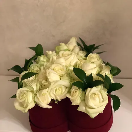 Ambra Boutique & Bistro Hotel 4*